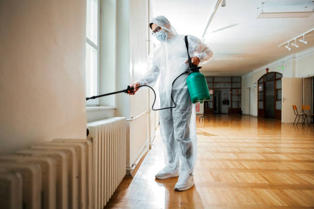Best Flea Control Services  in Lahaina, HI